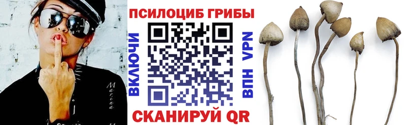 Галлюциногенные грибы Psilocybe  Анива 